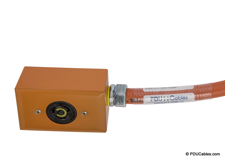 NEMA locking device with orange red dot box, faceplate and conduit