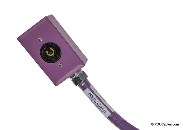 NEMA locking device in purple red dot box, faceplate and conduit