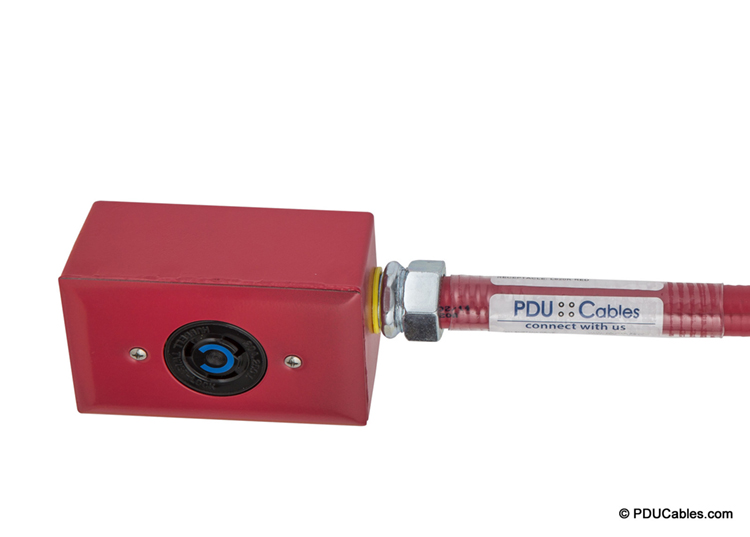 NEMA locking device with red red dot box, faceplate and conduit