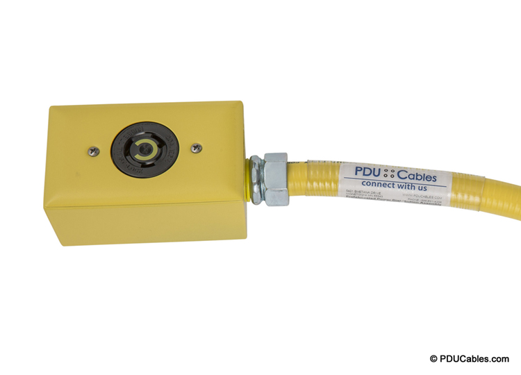 NEMA locking device with yellow red dot box, faceplate and conduit